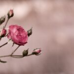 Blog thumbnail
