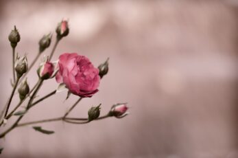 Blog thumbnail